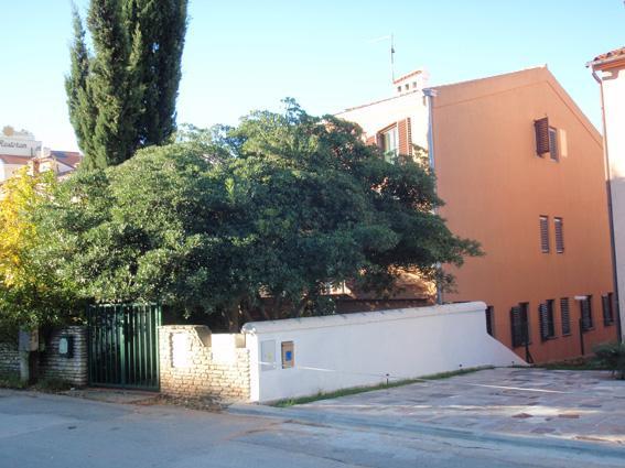 Apartma Art Legovic Pula